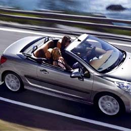 Rent a car